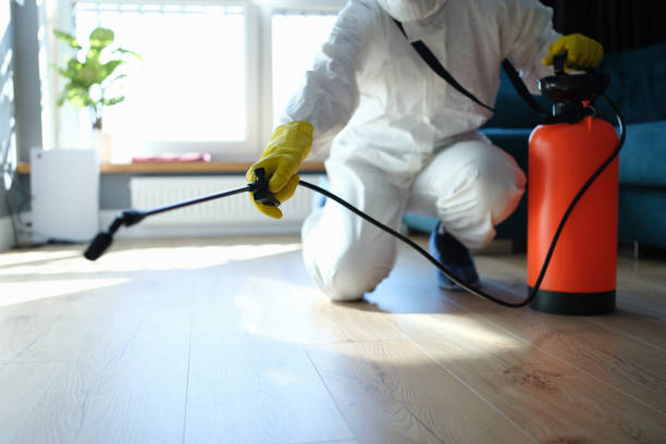 Reliable Infectious Disease Decontamination contractor in Plainville, GA by Trauma Clean Pros